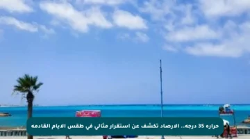 حرارة 35 درجة.. الأرصاد تكشف عن استقرار مثالي في طقس الأيام القادمة